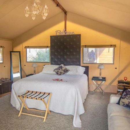 新普利茅斯 Country Retreat Glamping酒店 外观 照片