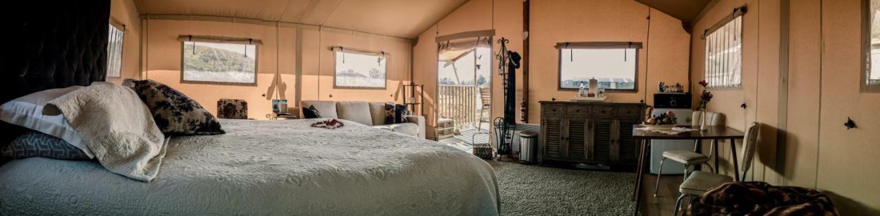 新普利茅斯 Country Retreat Glamping酒店 外观 照片
